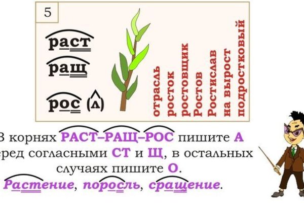 Кракен действующая ссылка