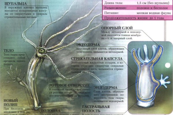 Адрес кракен в тор