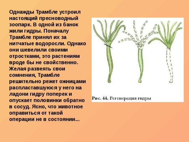 Кракен ссылка германия